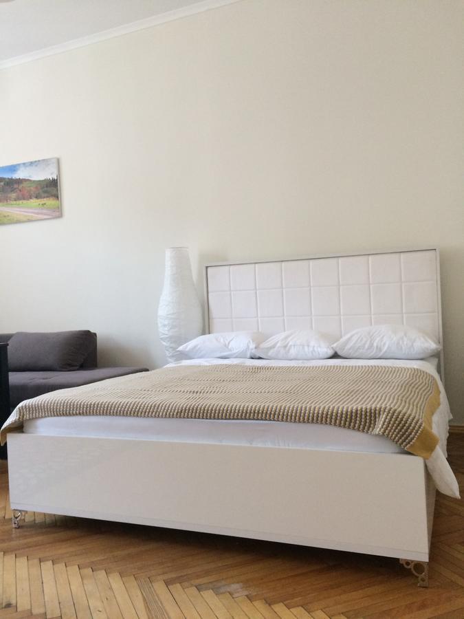 Cozy Apartment 39/34 Lviv Kültér fotó